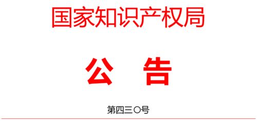 專利代理師與知識產(chǎn)權(quán)專業(yè)最全解讀 打造廣告制作的黃金護城河